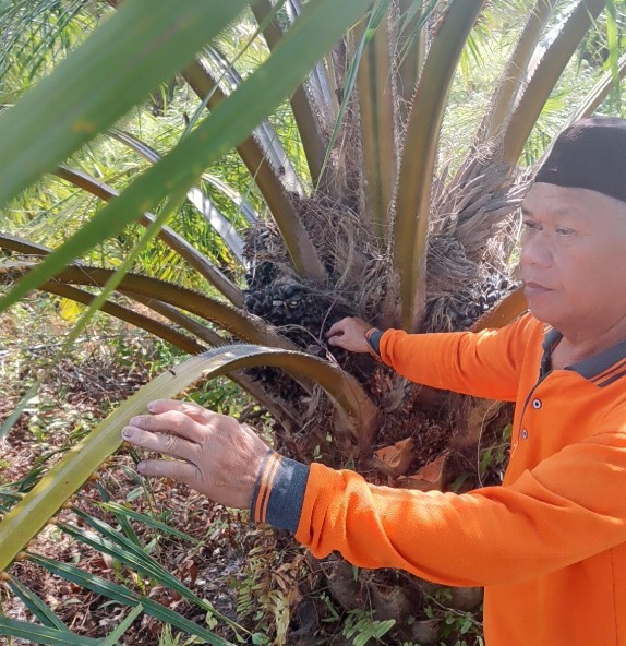 Image Caption