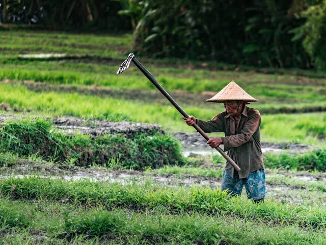 Refleksi Hari Tani: Membumikan Fiqh Agraria Muhammadiyah Melalui Kolaborasi Pentahelix