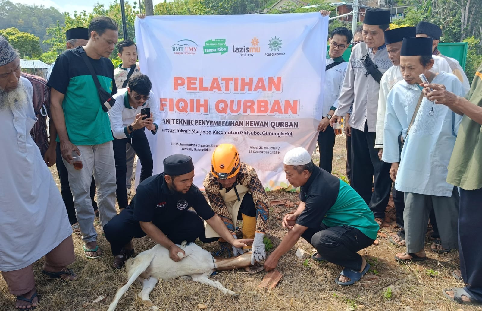 Image Caption