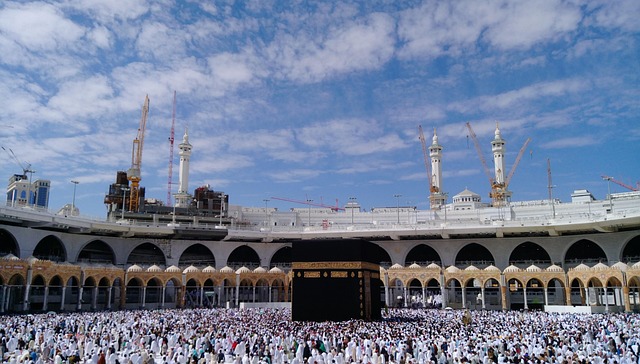 Image Caption