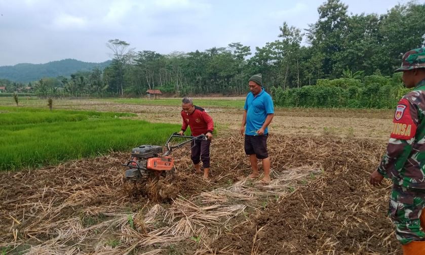 Image Caption