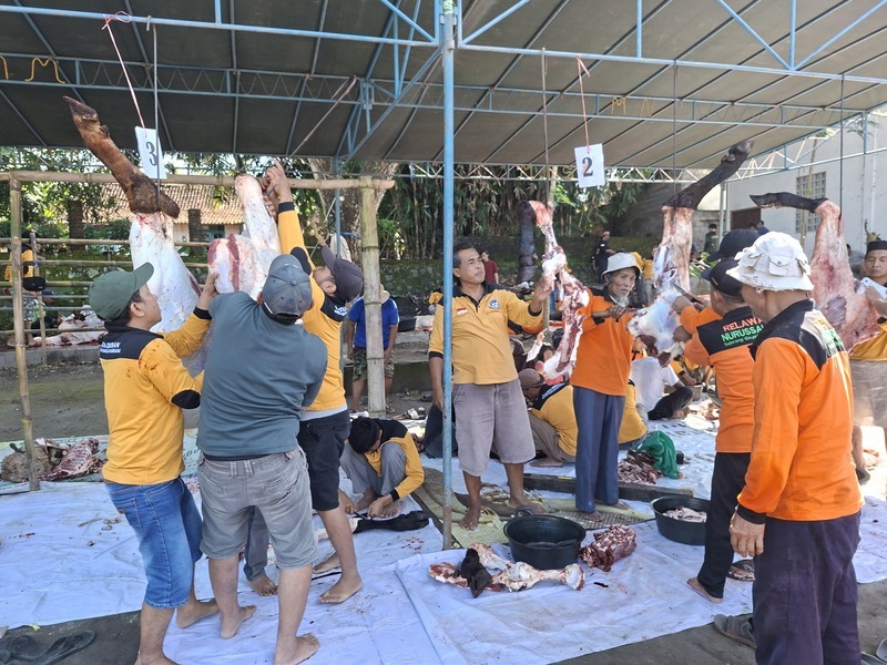 Image Caption