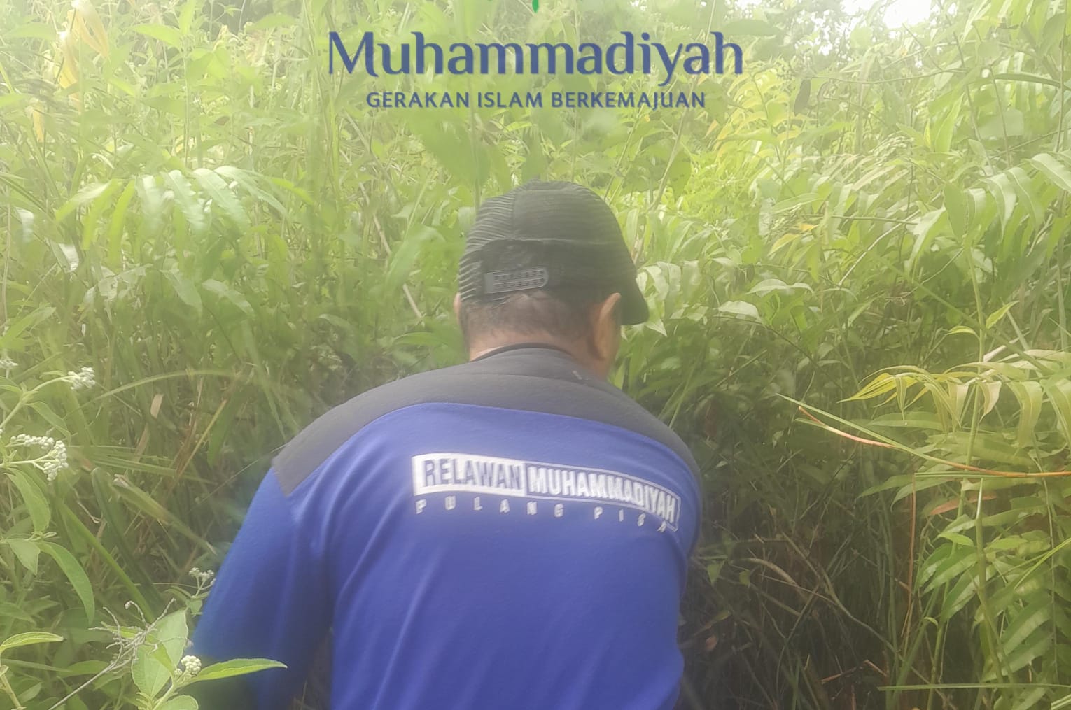 Image Caption