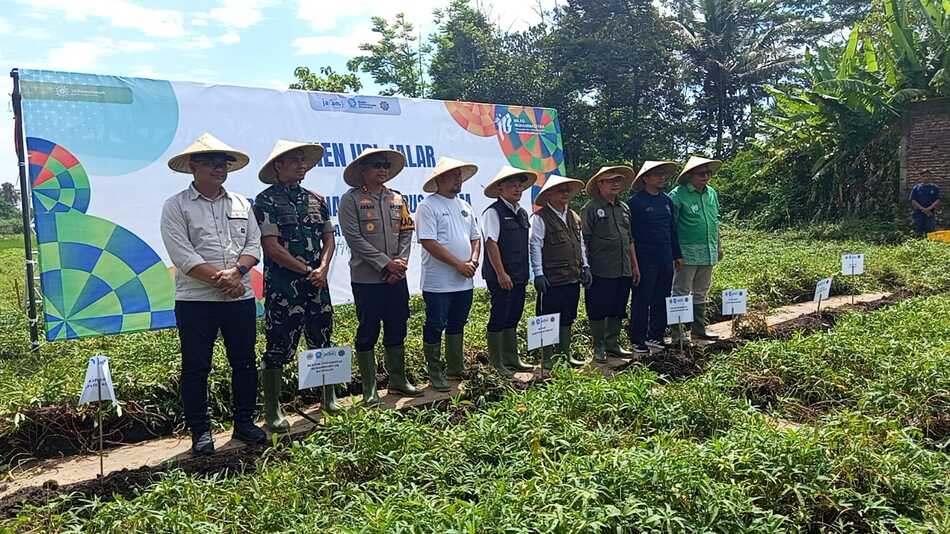 Image Caption