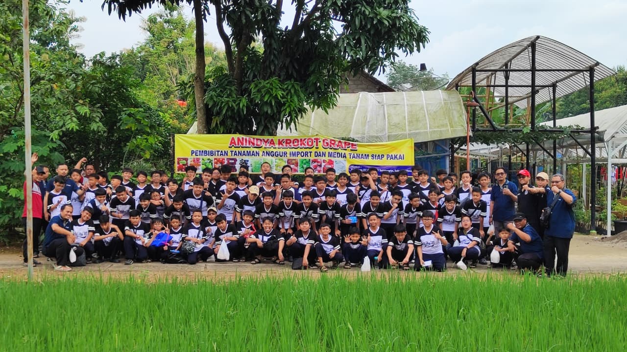 Image Caption
