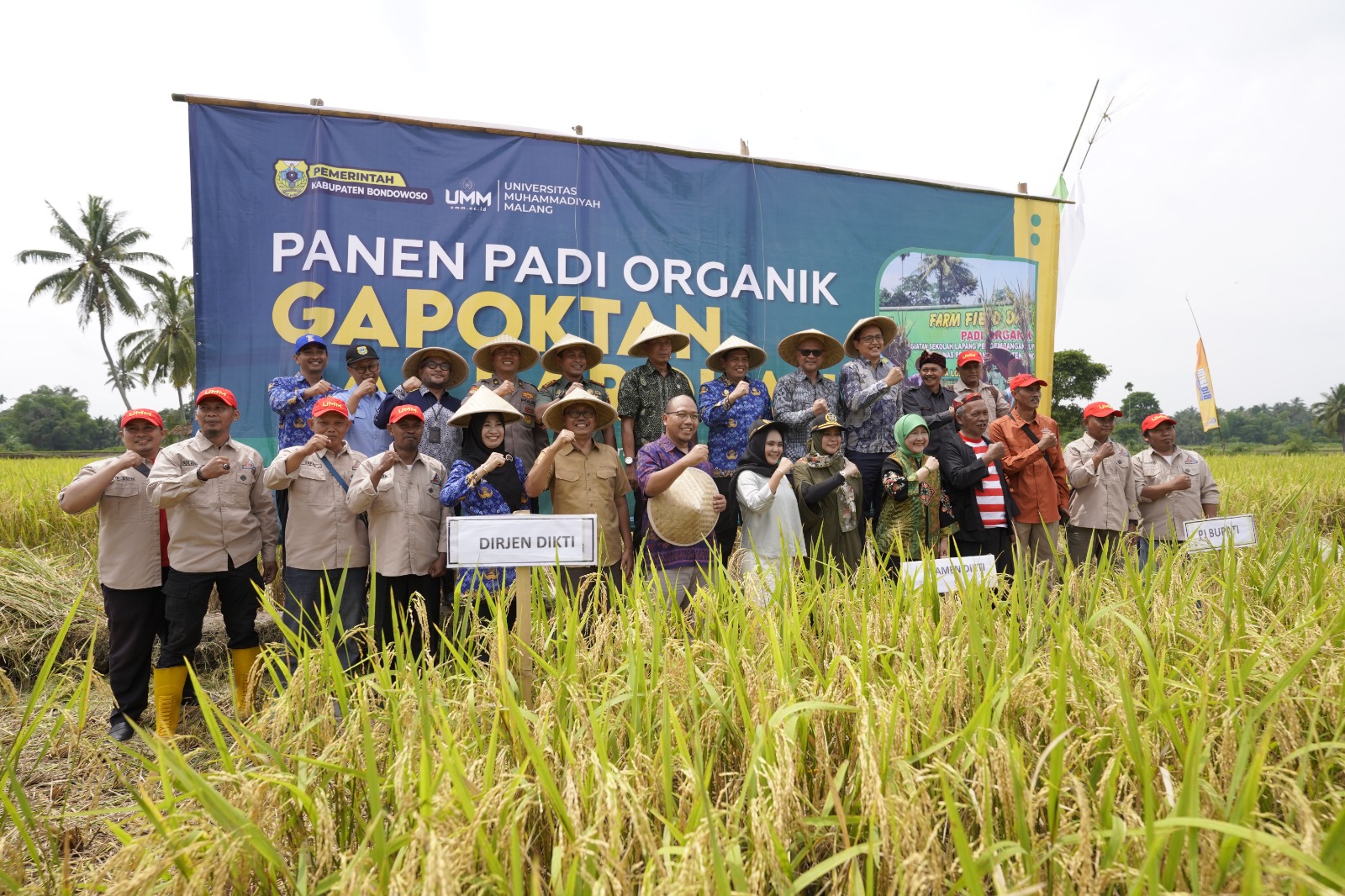 Image Caption