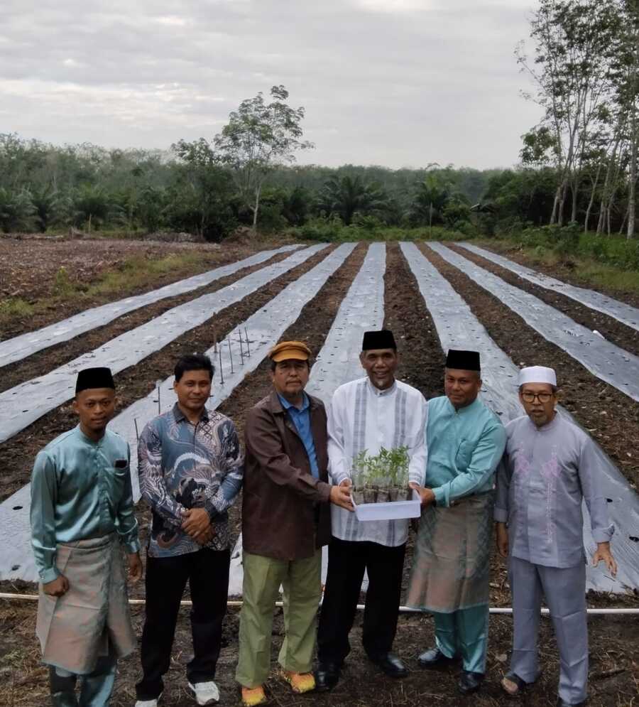 Image Caption